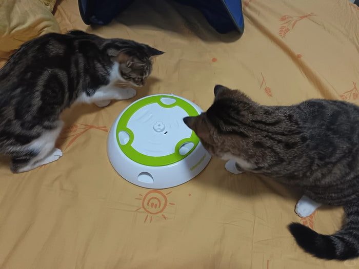 Customer cat