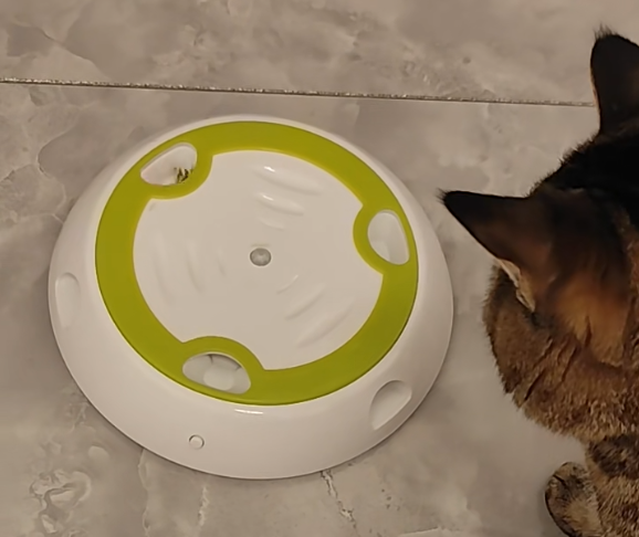 Customer cat