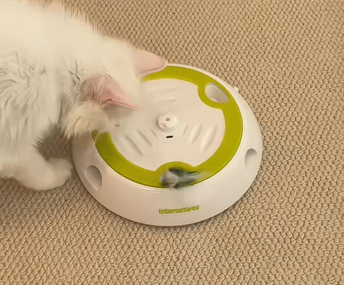 Customer cat